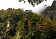 共同成长，不断超越