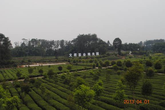 clip_image002.jpg