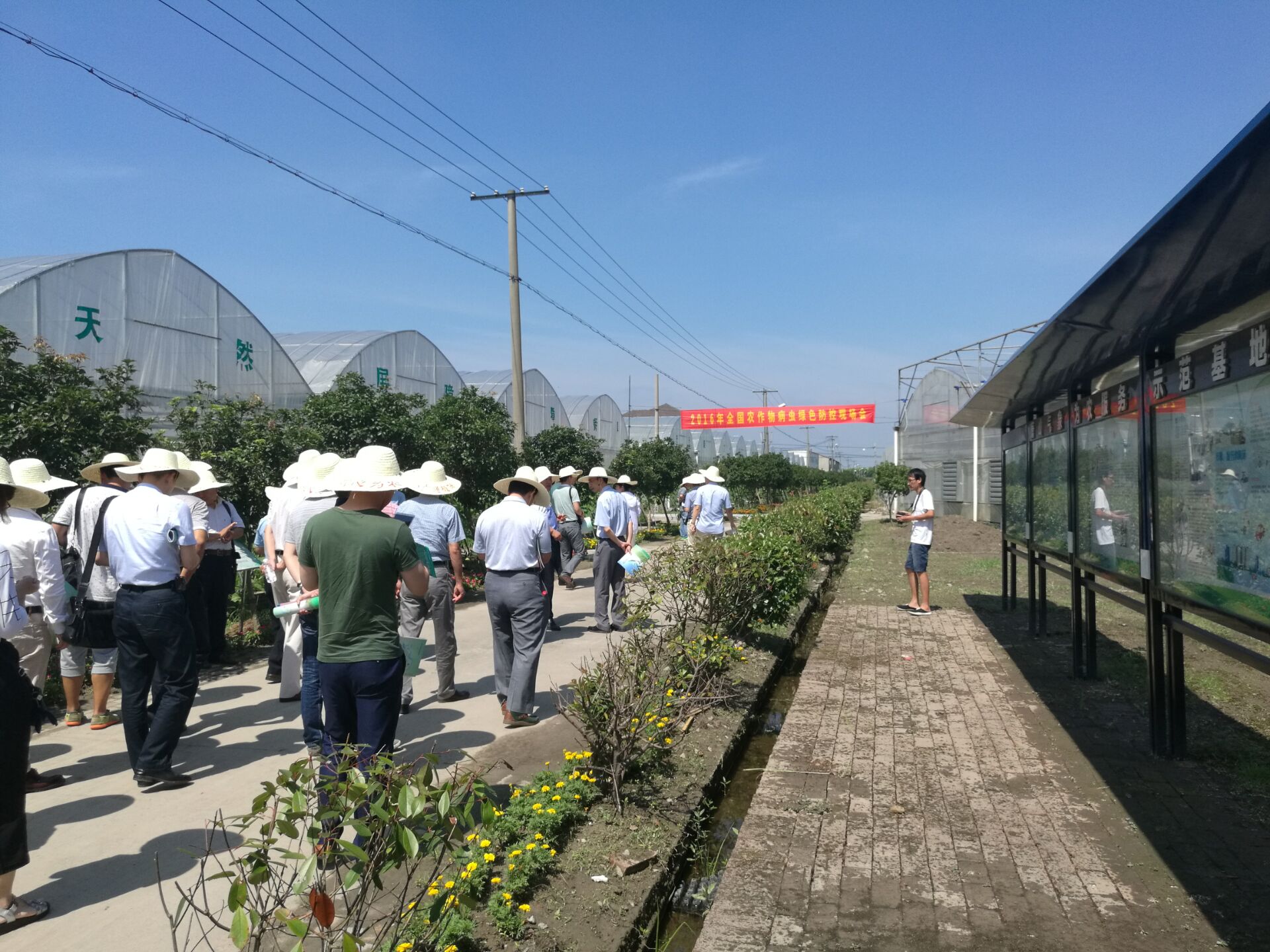 QQ图片20160722141802