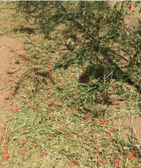 QQ截图20160726161650