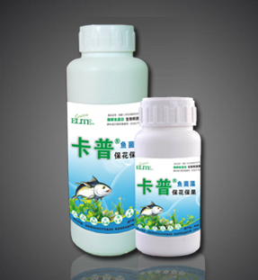 酶解鱼蛋白叶面型—保花保果