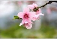 2018年1月行业信息