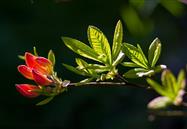 2018年5月行业信息