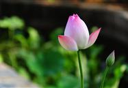 2018年6月行业信息