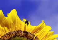 2018年8月行业信息