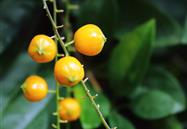 2018年9月行业信息