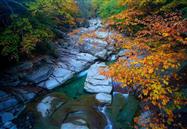 2018年10月行业信息