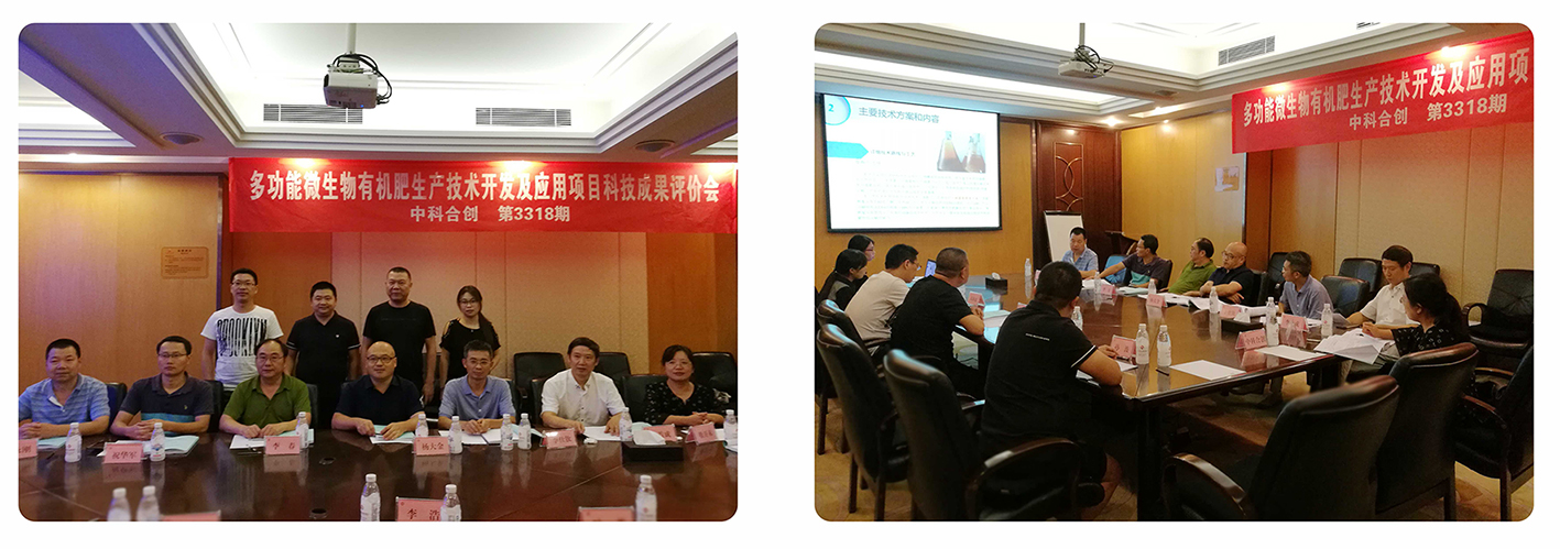 网站上的图片调整