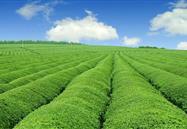 2019年10月行业信息