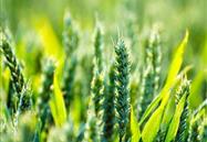 2019年5月行业信息