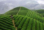 2019年6月行业信息