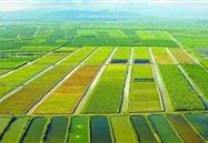 2019年7月行业信息